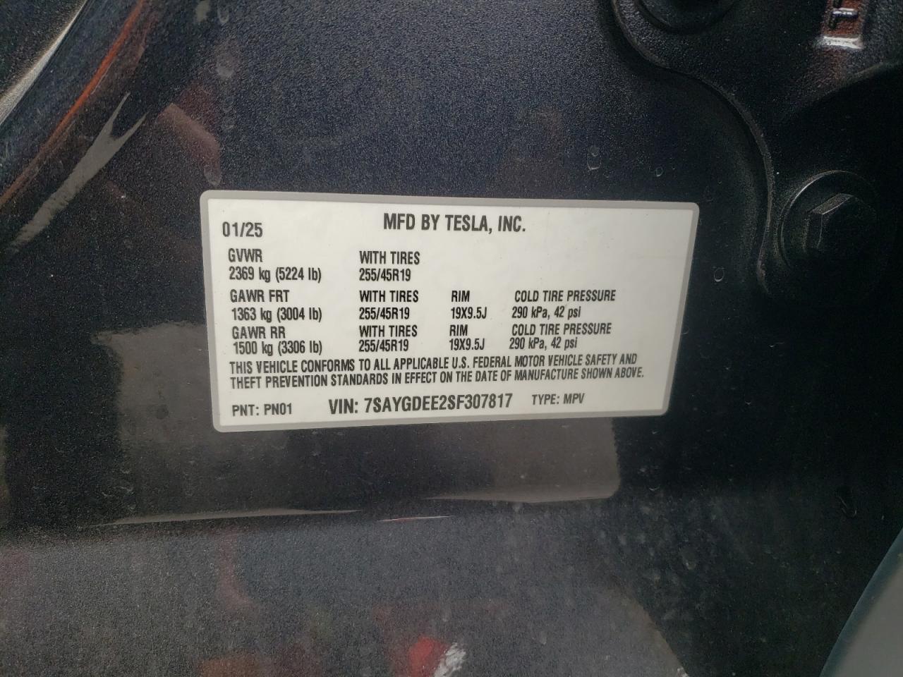 2025 Tesla Model Y VIN: 7SAYGDEE2SF307817 Lot: 81582115