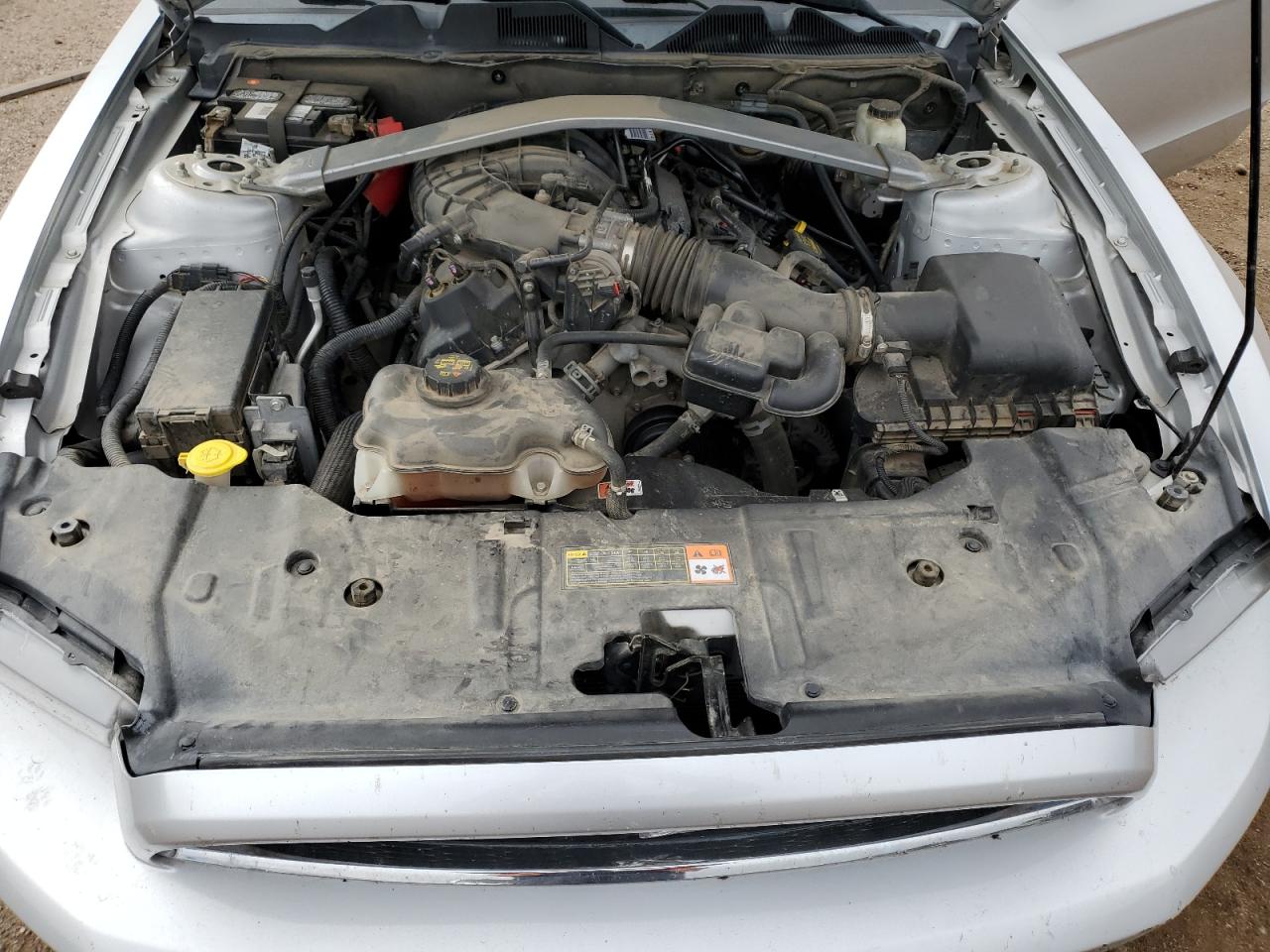 2014 Ford Mustang VIN: 1ZVBP8EM8E5264296 Lot: 82049775