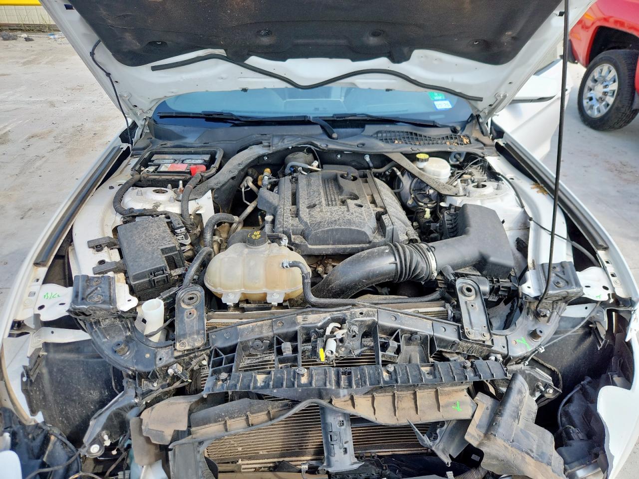 2019 Ford Mustang VIN: 1FATP8UH8K5131373 Lot: 82092825