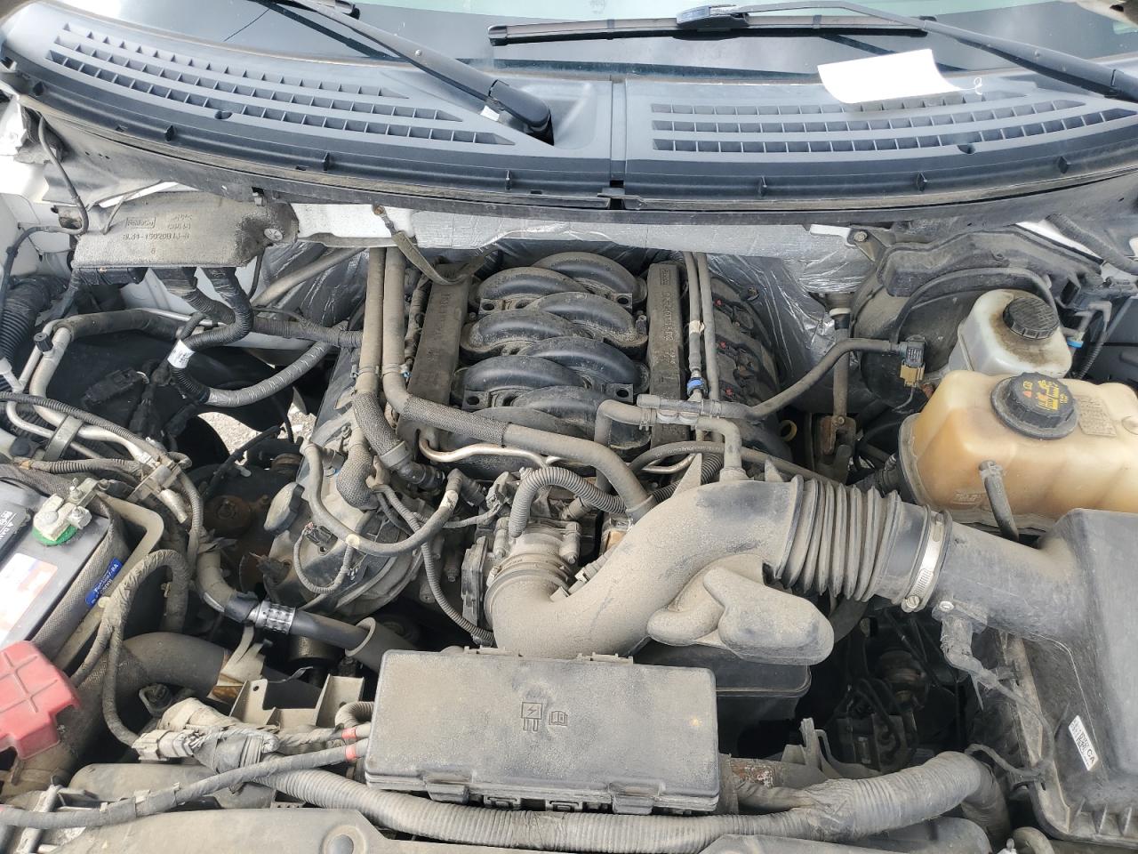 2012 Ford F150 Supercrew VIN: 1FTFW1EF7CFA29024 Lot: 81741775