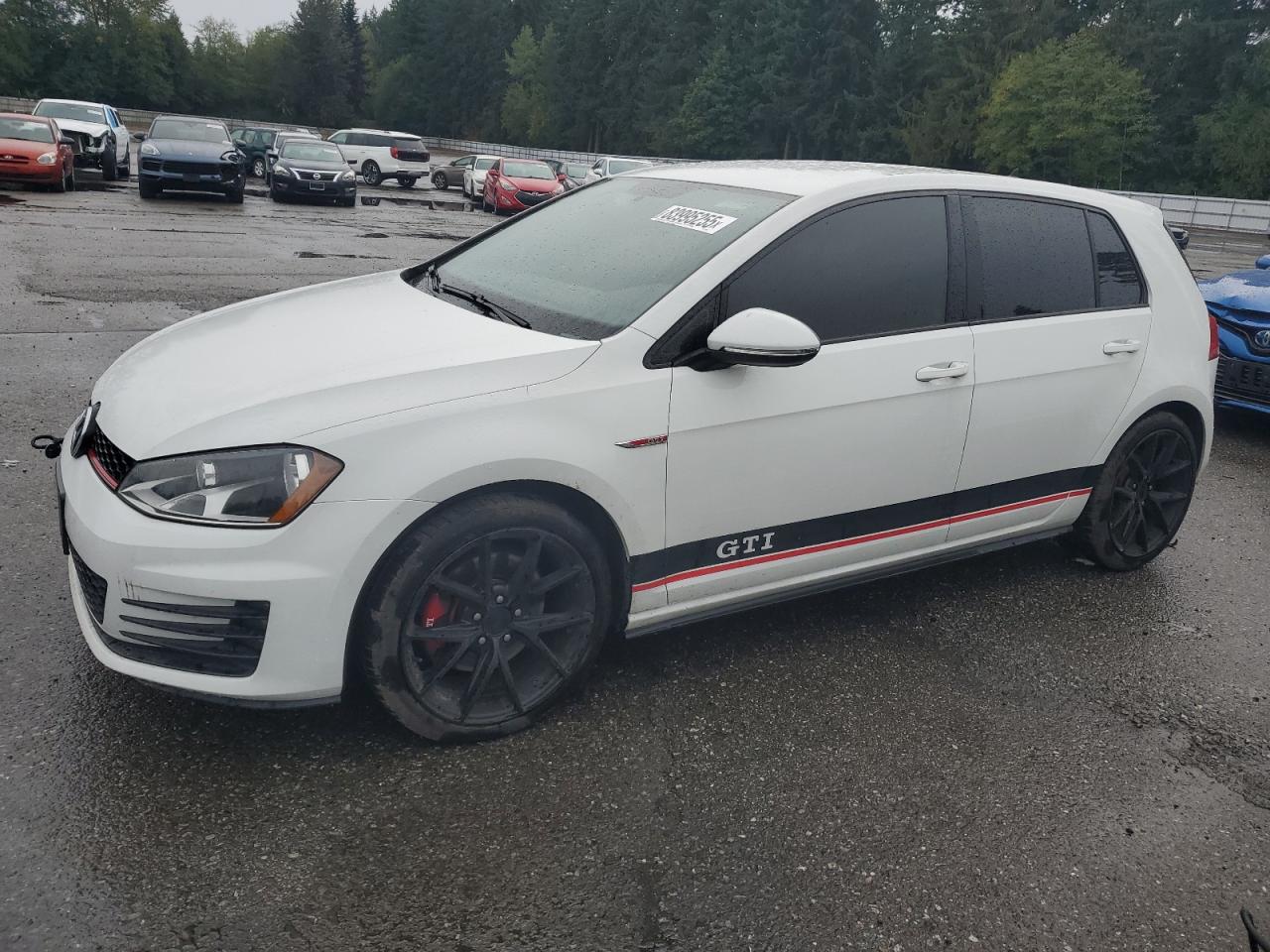 2016 Volkswagen Gti S/Se