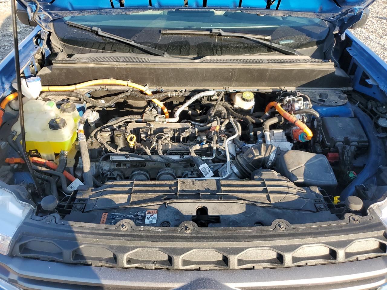 2022 Ford Maverick VIN: 3FTTW8E37NRA16524 Lot: 81781425