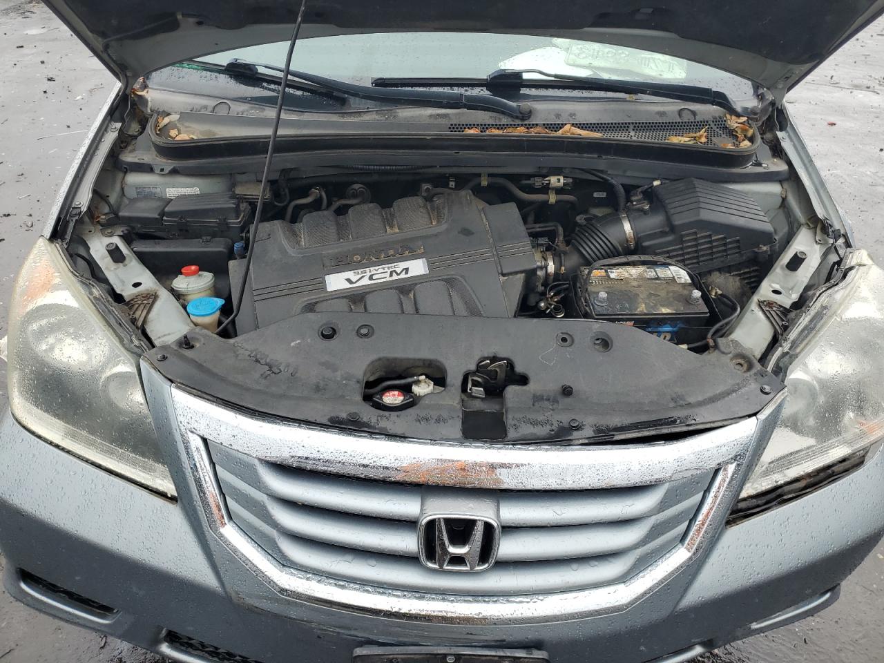 2009 Honda Odyssey Exl VIN: 5FNRL38799B020117 Lot: 71291565