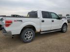 2014 FORD F150 SUPERCREW   à vendre chez Copart AB - CALGARY