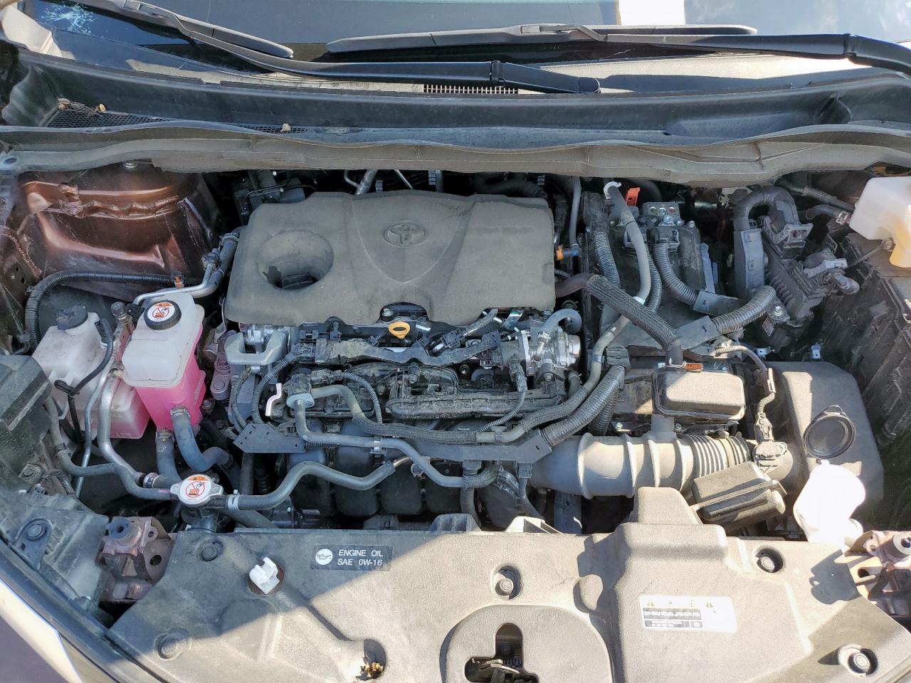 2023 Toyota Sienna Limited VIN: 5TDZRKEC0PS149690 Lot: 84591345