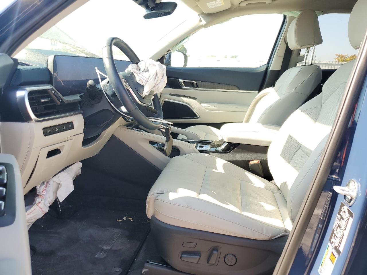 2025 Kia Telluride Sx VIN: 5XYP5DGC7SG585759 Lot: 80912835