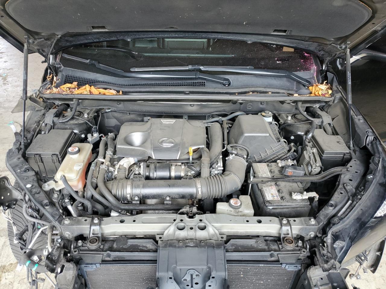 2019 Lexus Nx 300 Base VIN: JTJYARBZ9K2120805 Lot: 81013135