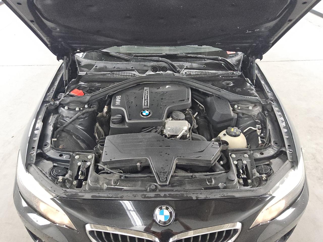 2016 BMW 228 Xi Sulev VIN: WBA1G9C55GV726605 Lot: 80555865
