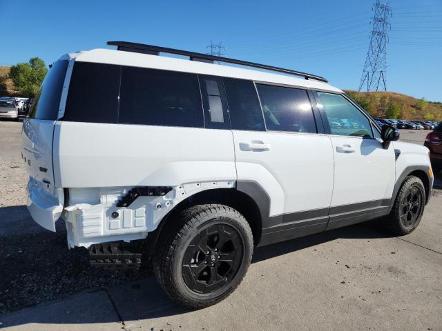 HYUNDAI SANTA FE 2025 Белы