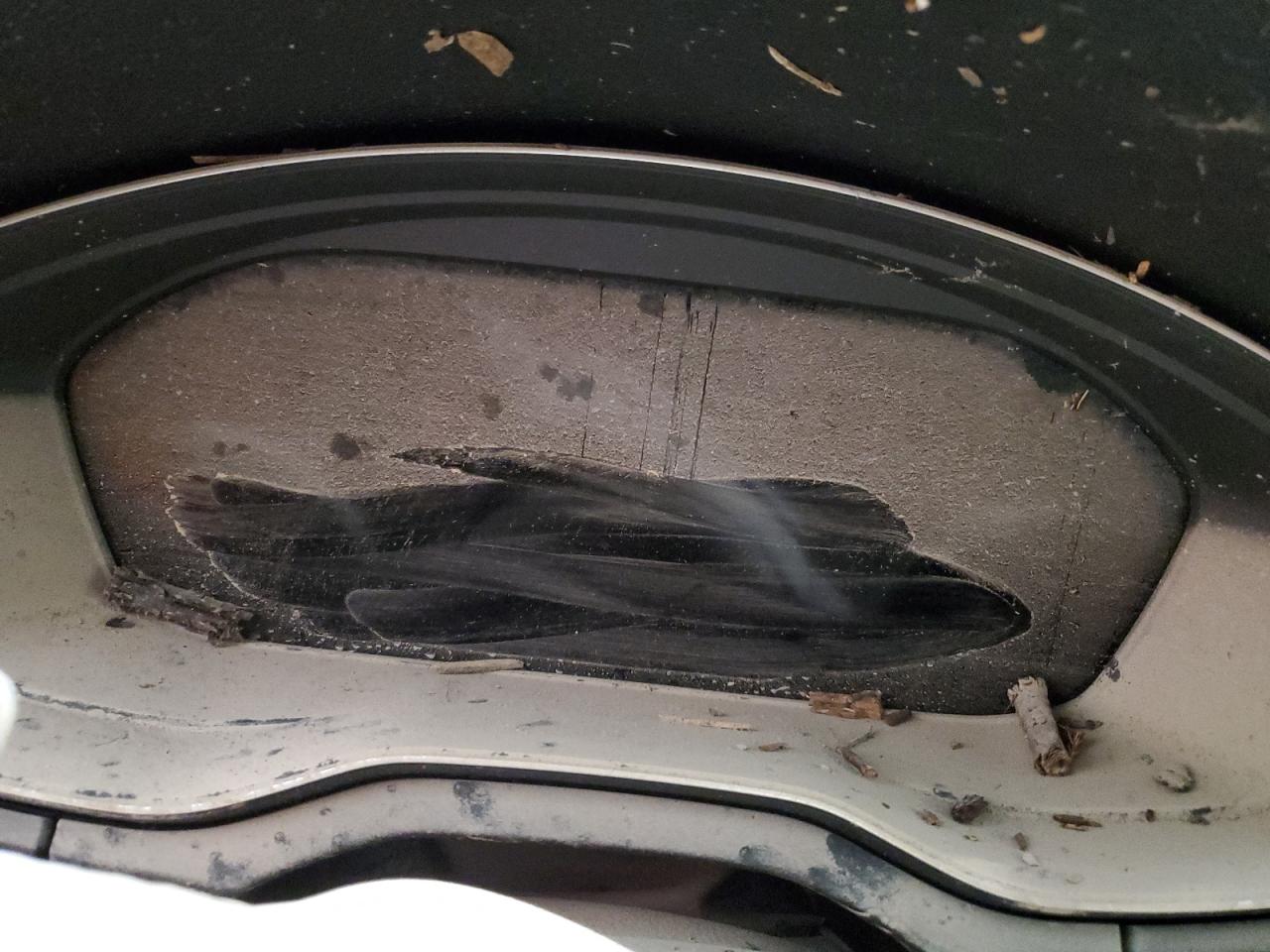 2024 Audi Q5 Premium Plus 45 VIN: WA1EAAFY5R2035571 Lot: 69815695