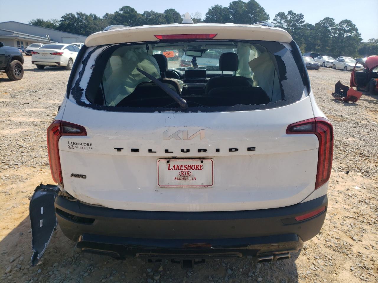 2022 Kia Telluride Sx VIN: 5XYP5DHC0NG197937 Lot: 80295575
