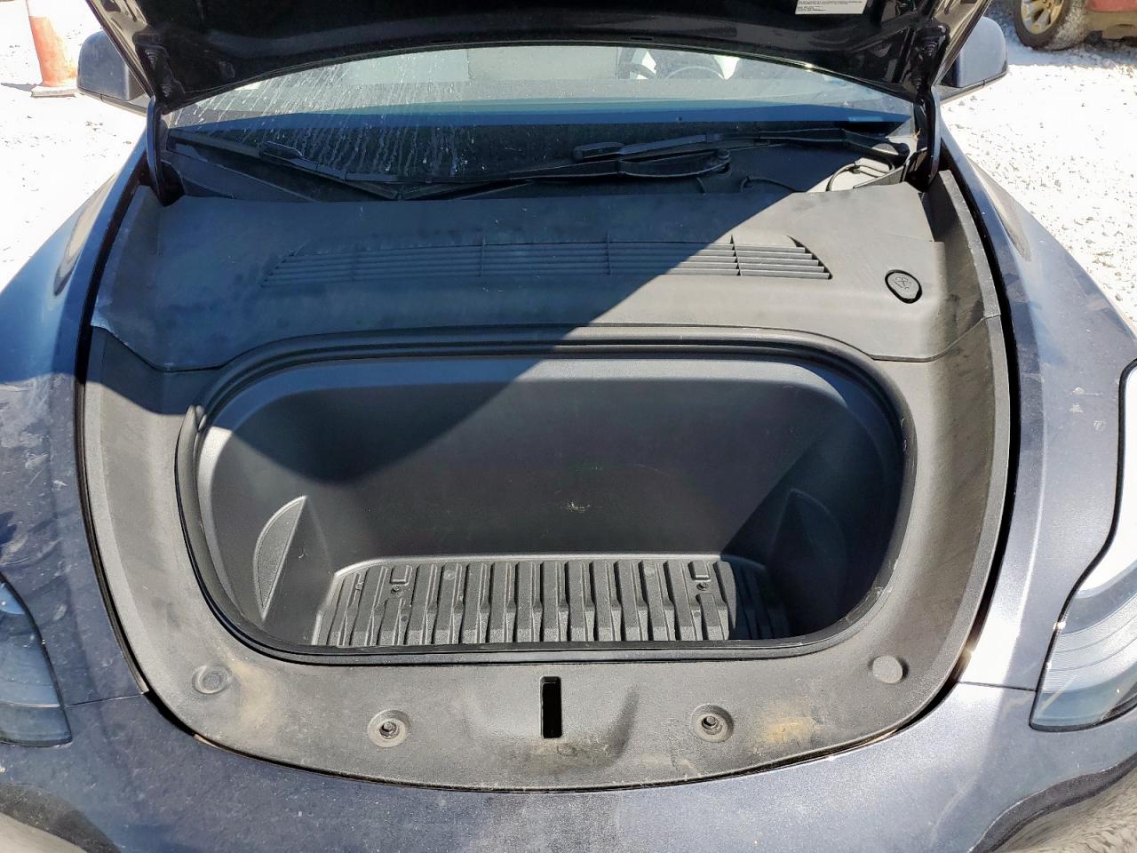 2024 Tesla Model Y VIN: 7SAYGDEE1RA231742 Lot: 81680985