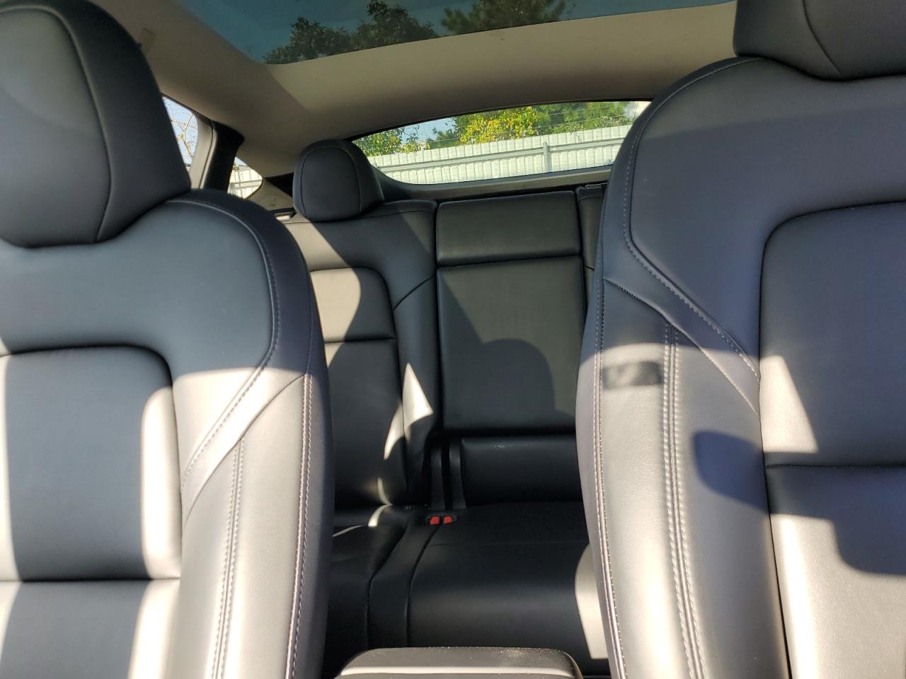 2023 Tesla Model Y VIN: 7SAYGDEE6PA181160 Lot: 71711575