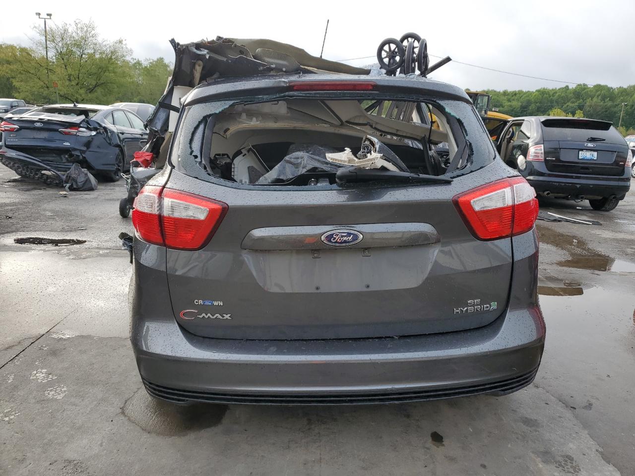 2016 Ford C-Max Se VIN: 1FADP5AU4GL103495 Lot: 81780815