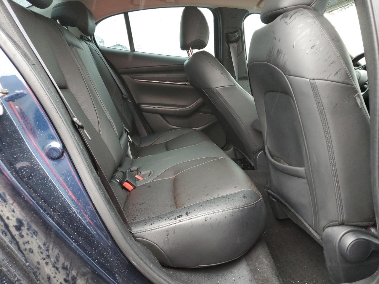 2023 Mazda 3 Premium VIN: 3MZBPBDM9PM356612 Lot: 81196055
