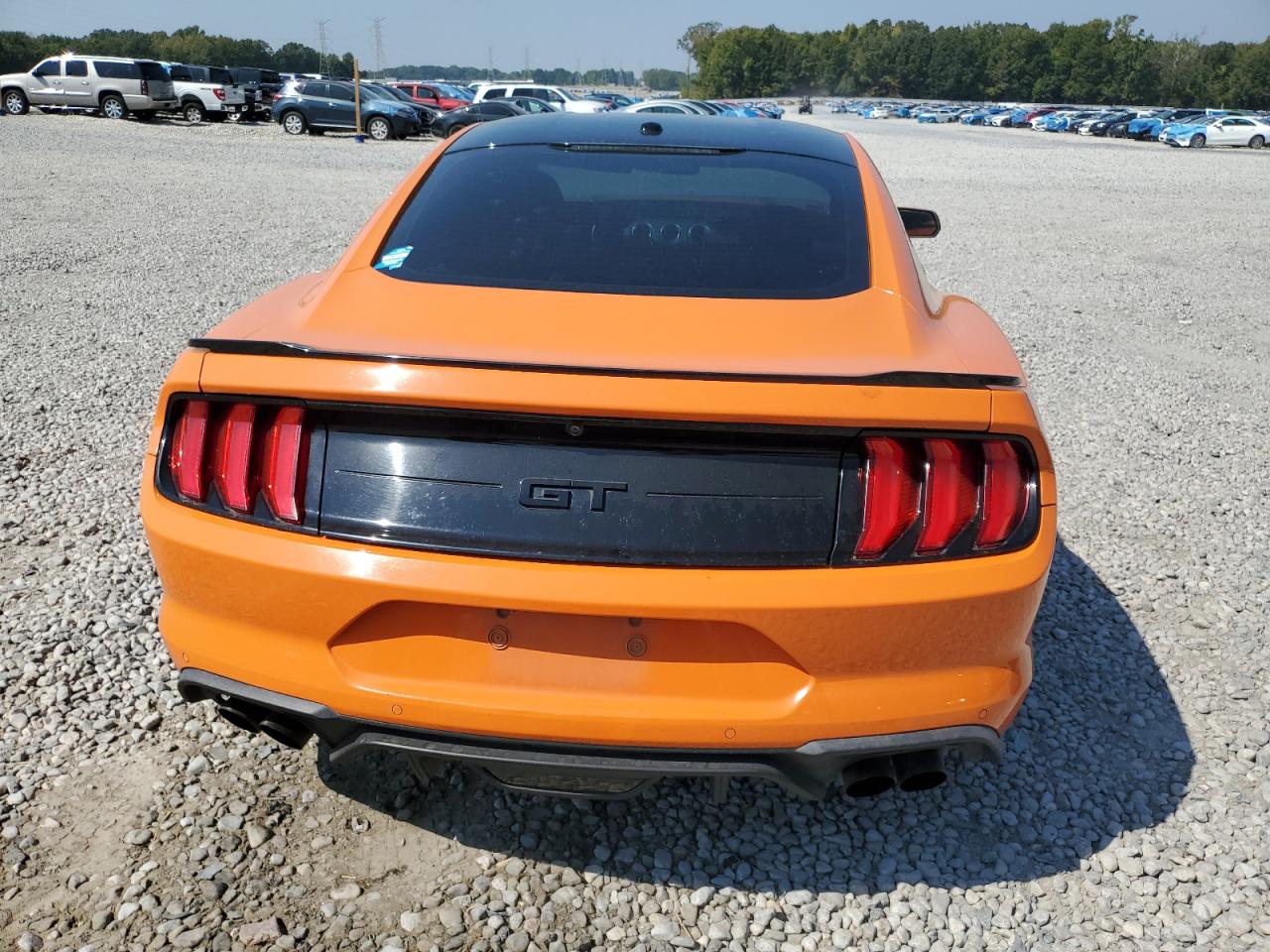 2020 Ford Mustang Gt VIN: 1FA6P8CF9L5126701 Lot: 81206505