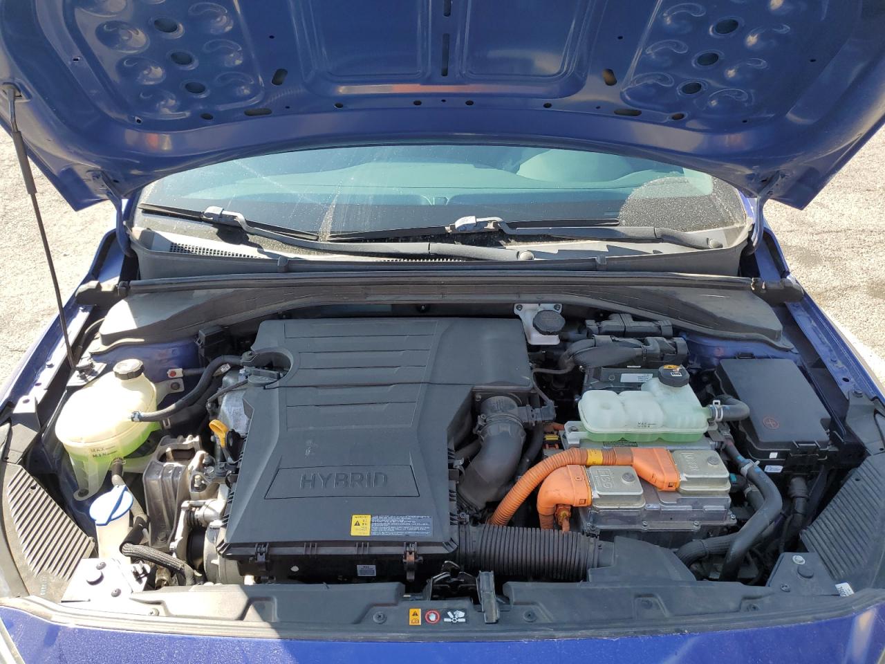 2019 Hyundai Ioniq Blue VIN: KMHC65LC7KU145204 Lot: 84782765