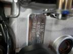 2024 BMW S 1000 RR   for sale at Copart MN - MINNEAPOLIS NORTH
