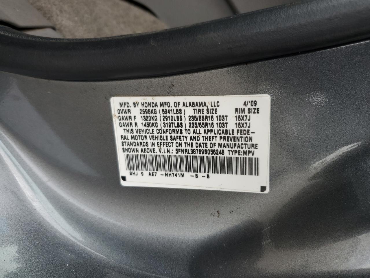 2009 Honda Odyssey Exl VIN: 5FNRL38769B056248 Lot: 81797045