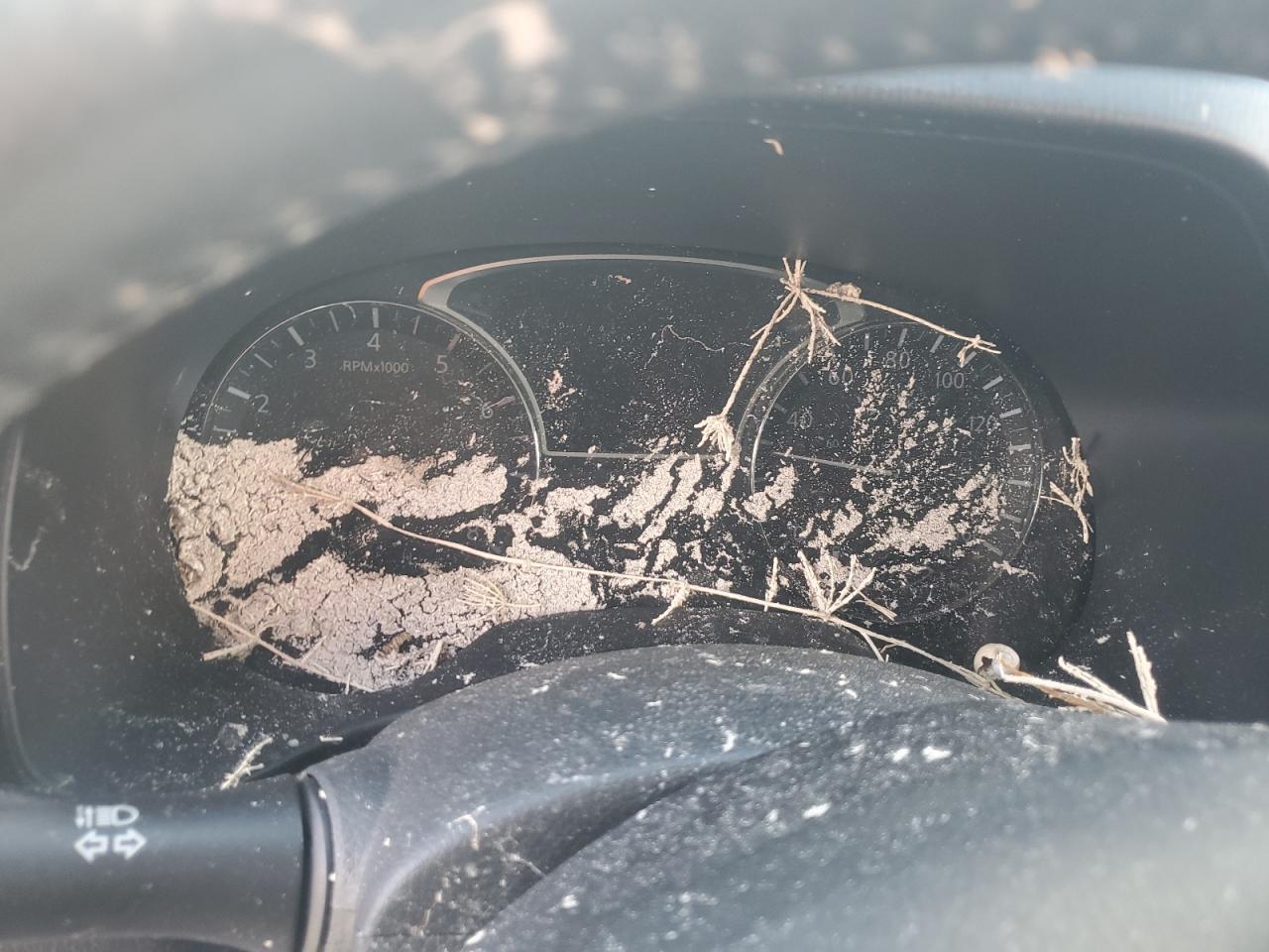 2015 Nissan Pathfinder S VIN: 5N1AR2MN7FC717123 Lot: 81906555