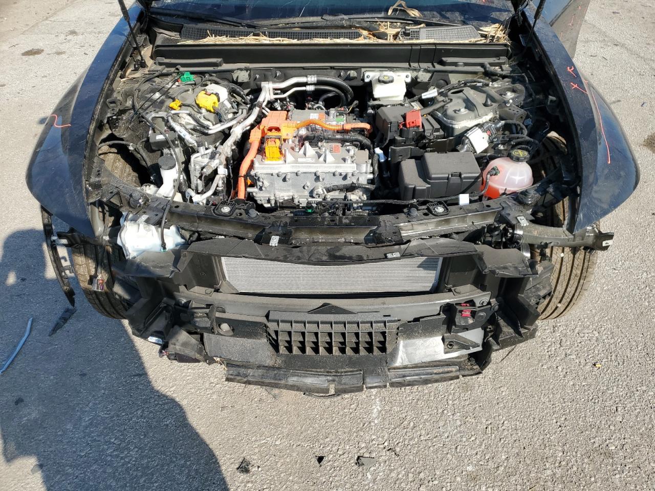 2025 Cadillac Lyriq Luxury VIN: 1GYKPNRLXSZ304797 Lot: 81487265