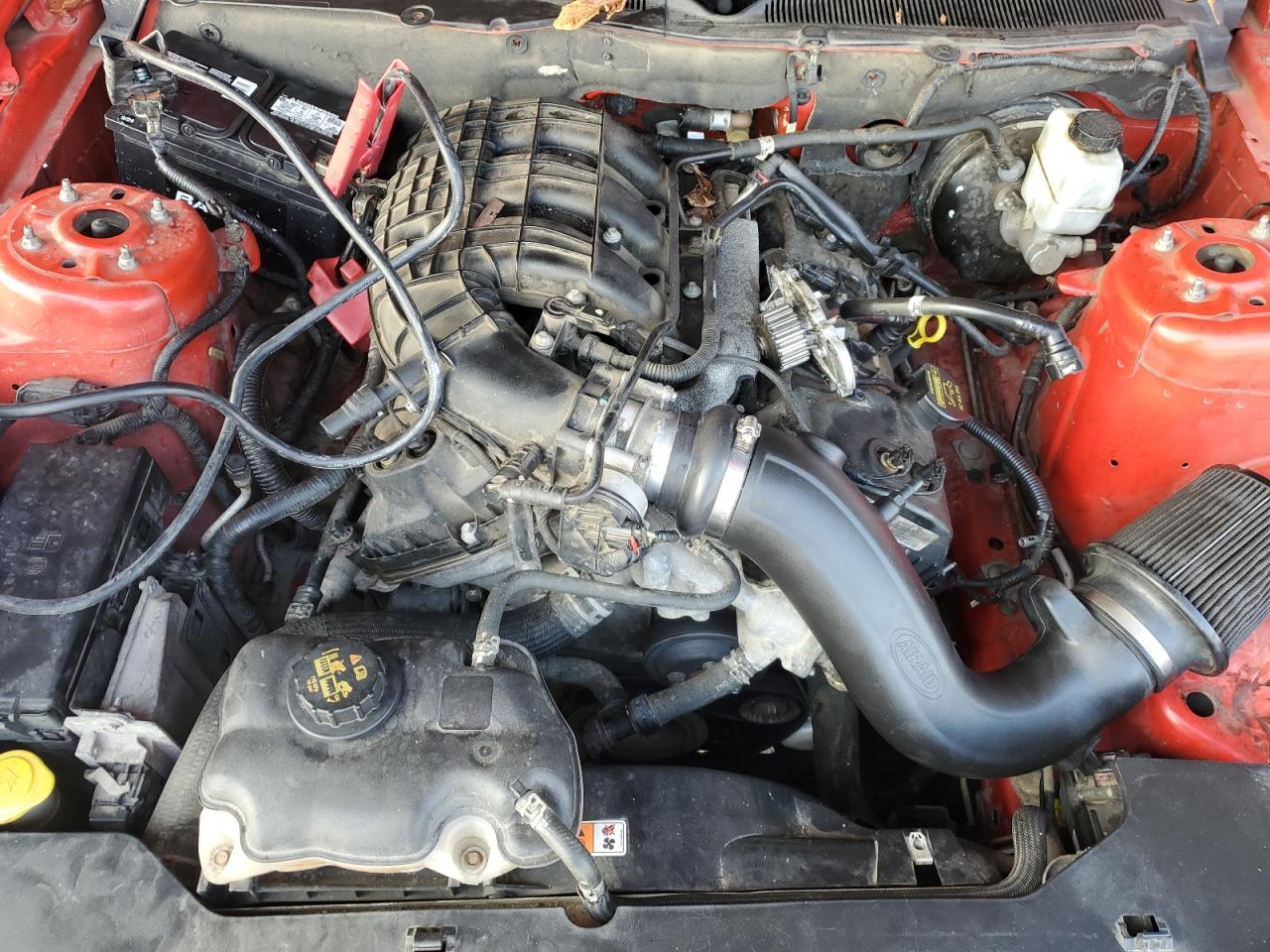 2011 Ford Mustang VIN: 1ZVBP8AM8B5144645 Lot: 81074955