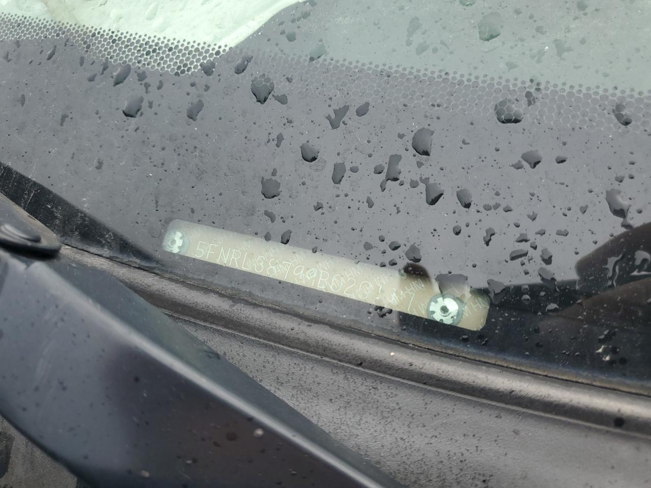 2009 Honda Odyssey Exl VIN: 5FNRL38799B020117 Lot: 71291565