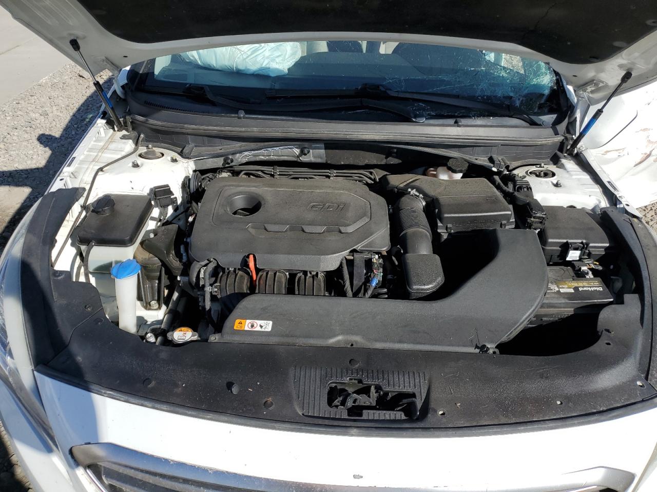 2017 Hyundai Sonata Se VIN: 5NPE24AF1HH521866 Lot: 80814565