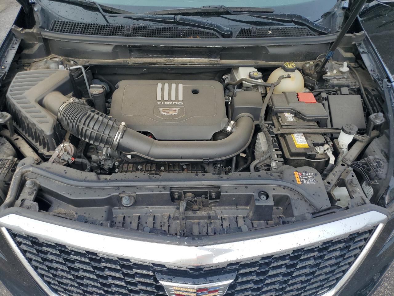 2021 Cadillac Xt5 Luxury VIN: 1GYKNBR49MZ217084 Lot: 81842965