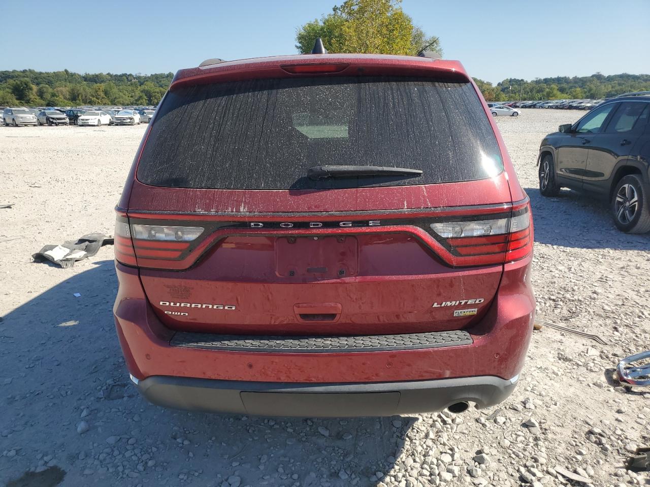 2014 Dodge Durango Limited VIN: 1C4RDJDG9EC976437 Lot: 81308365