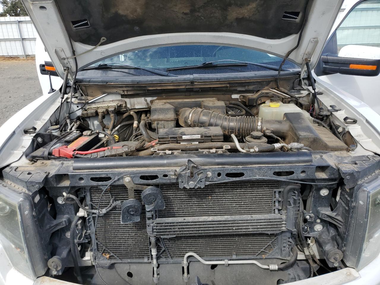 2013 Ford F150 Svt Raptor VIN: 1FTFW1R68DFA19503 Lot: 84292935