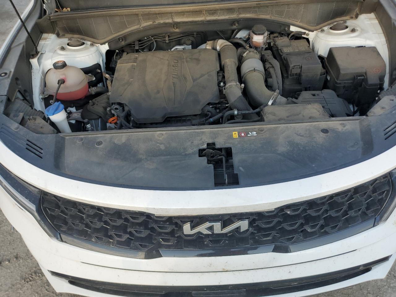 2023 Kia Sorento Sx VIN: 5XYRK4LF8PG191017 Lot: 80527195