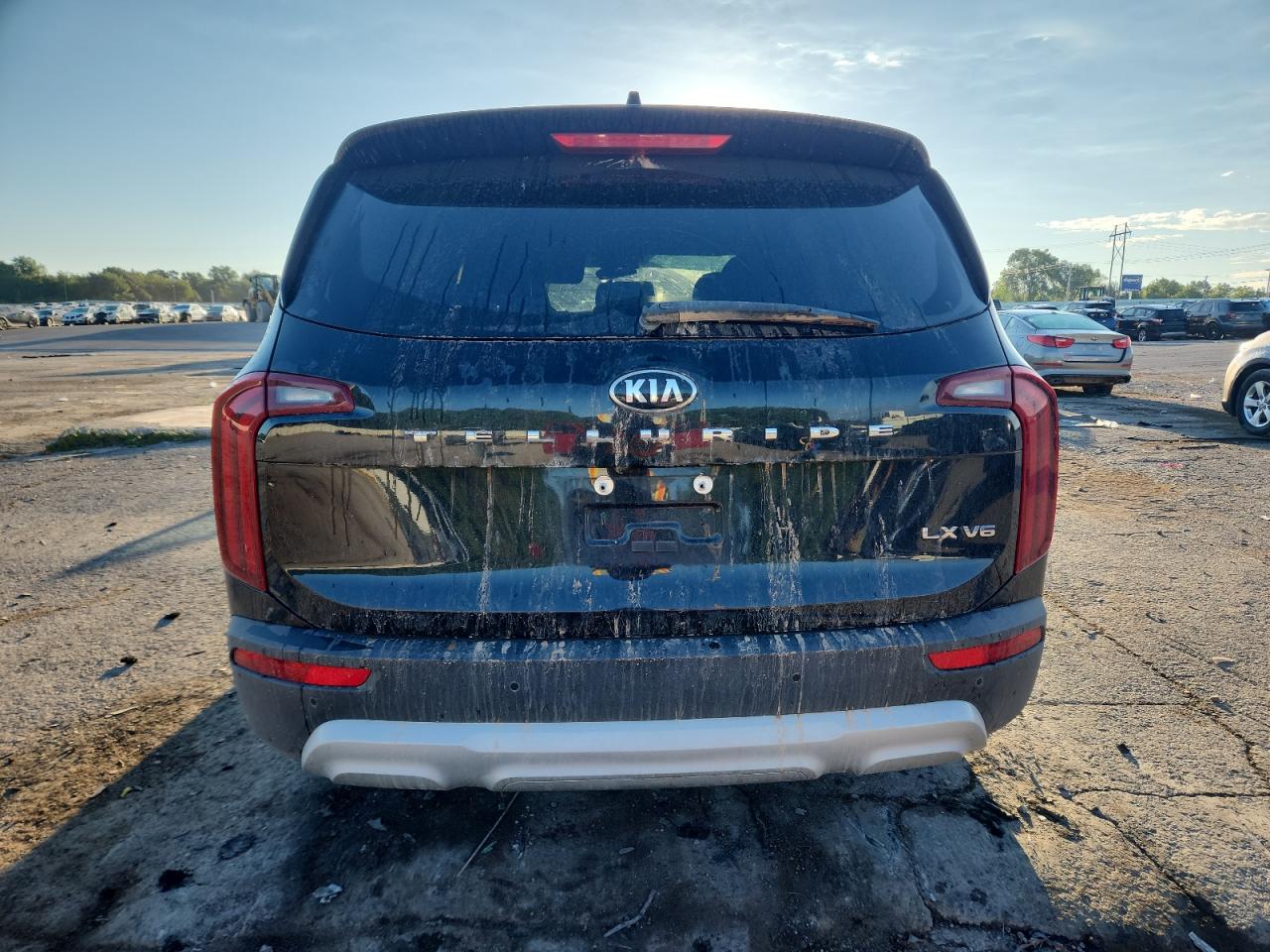 2021 Kia Telluride Lx VIN: 5XYP24HC4MG114341 Lot: 81280595