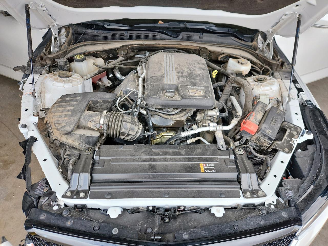 2022 Cadillac Ct4 Sport VIN: 1G6DC5RK6N0133530 Lot: 71890995