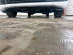 2024 VAUXHALL VIVARO PRO for sale at Copart PETERLEE