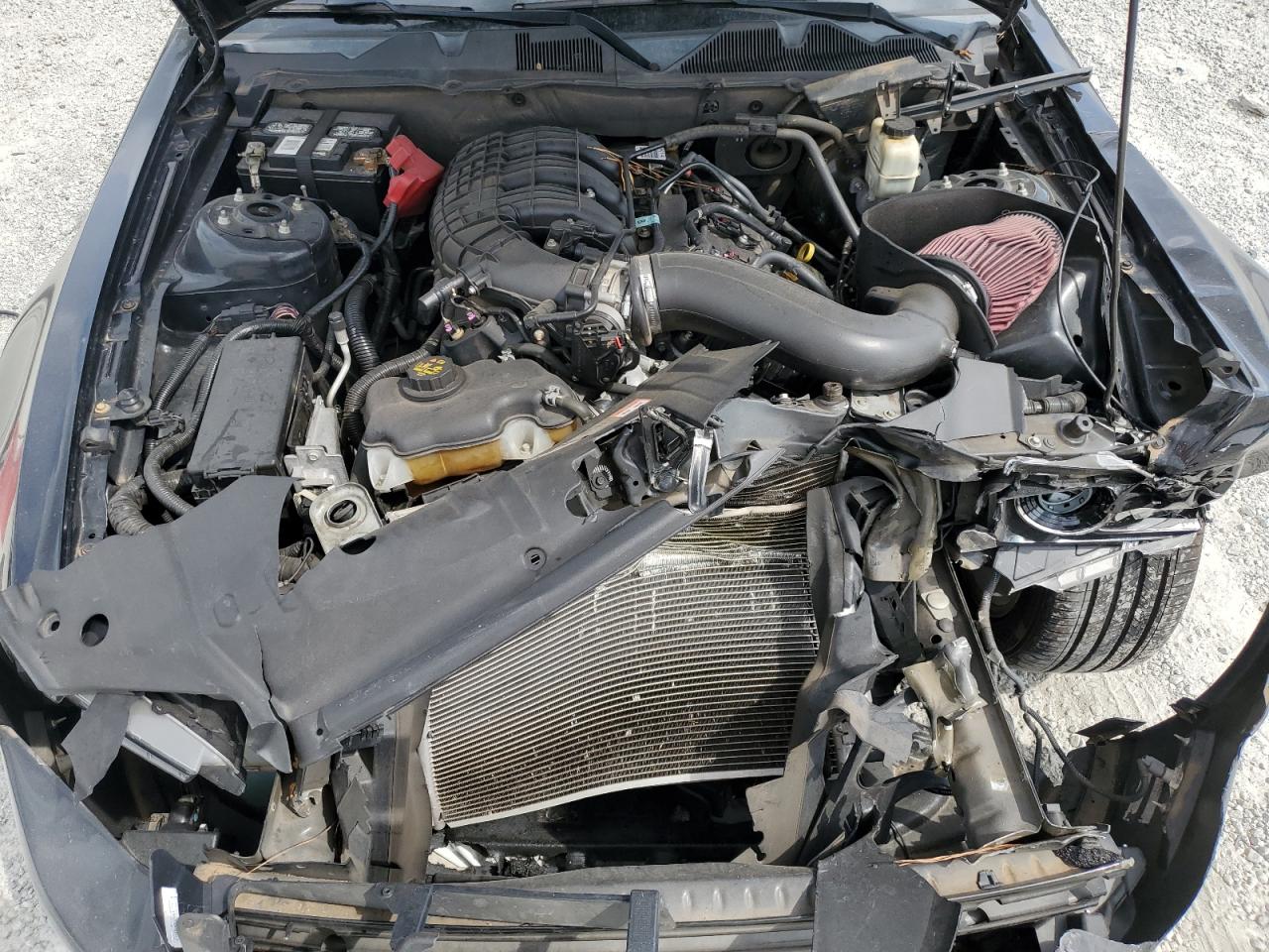 2014 Ford Mustang VIN: 1ZVBP8AM4E5251065 Lot: 82060415