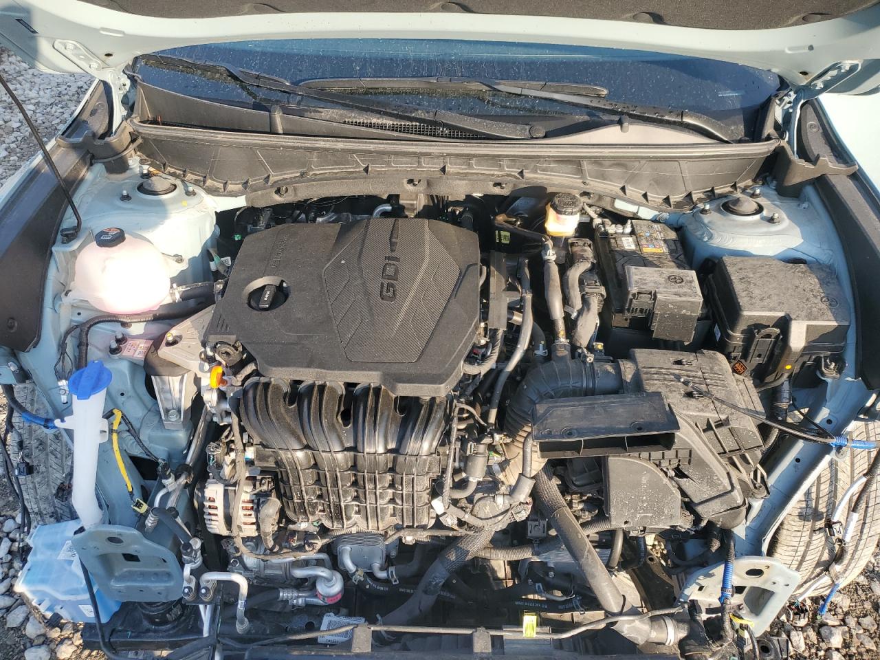 2024 Hyundai Santa Cruz Sel VIN: 5NTJCDDE7RH113101 Lot: 80550655