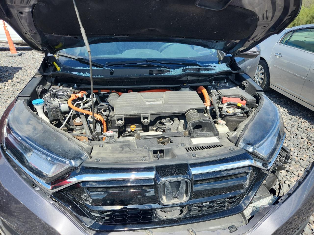 2020 Honda Cr-V Ex VIN: 7FART6H51LE015392 Lot: 81801975