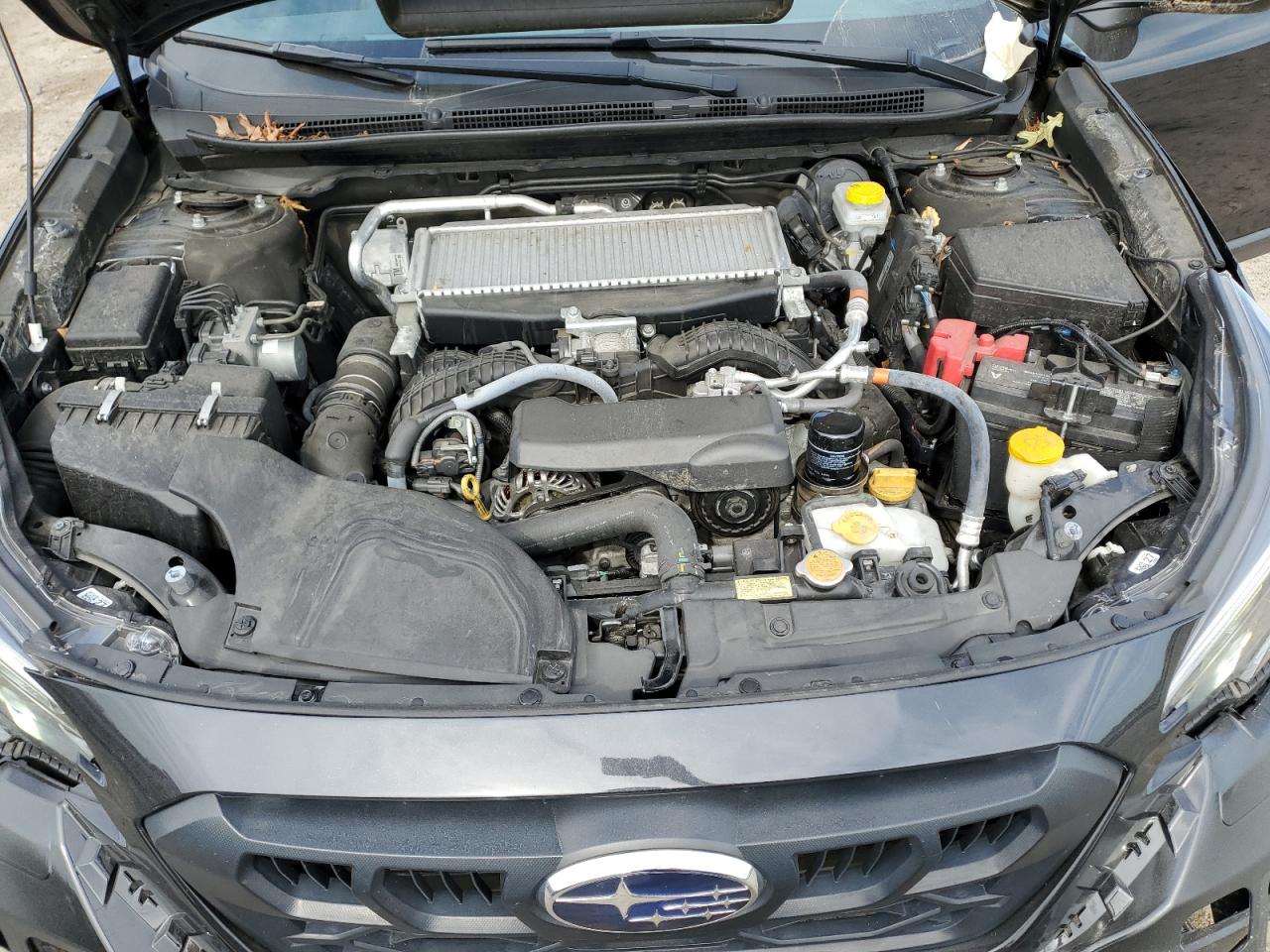 2024 Subaru Outback Wilderness VIN: 4S4BTGUD6R3197379 Lot: 80603595