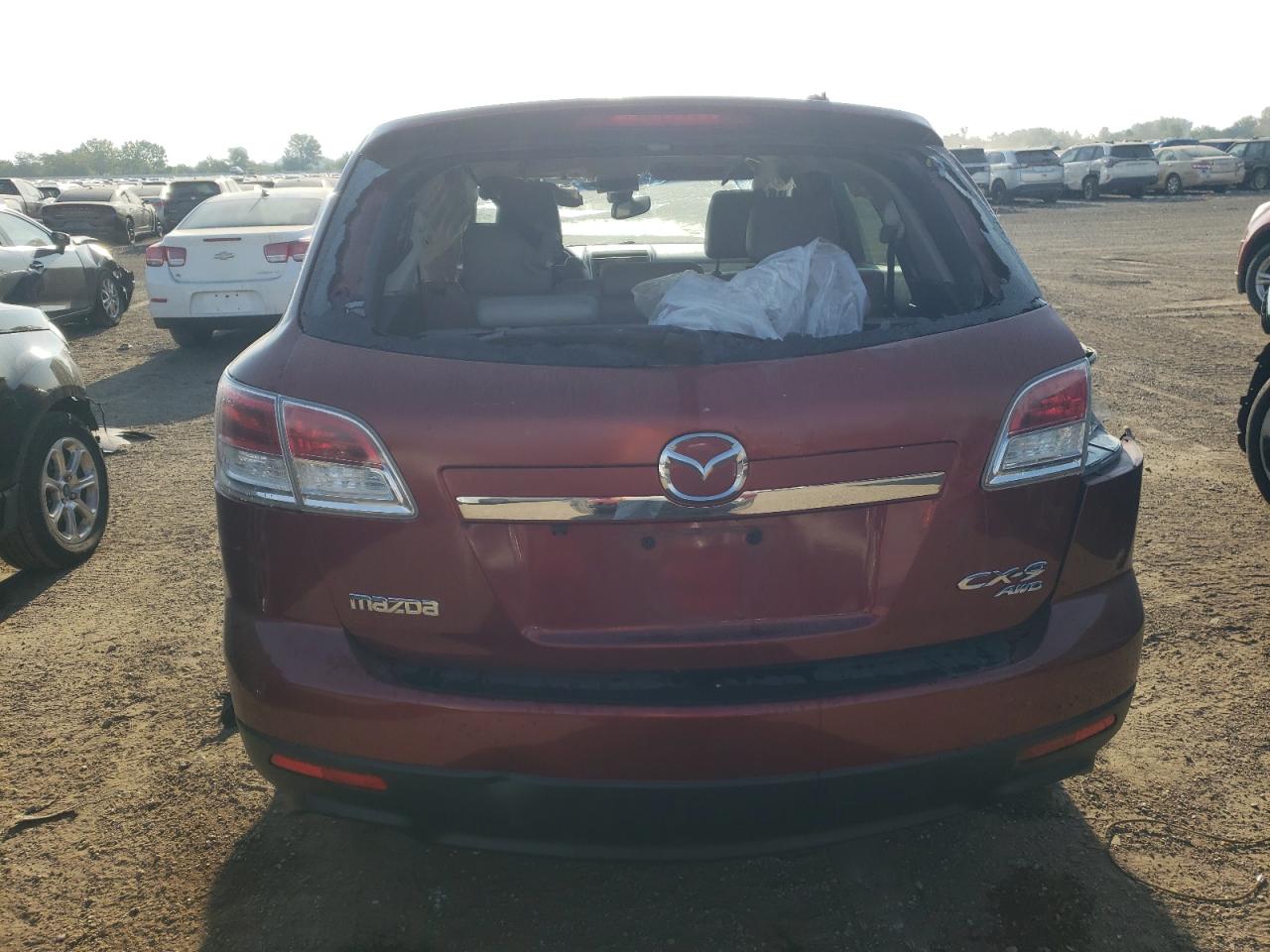 2009 Mazda Cx-9 VIN: JM3TB38A490173238 Lot: 80451935