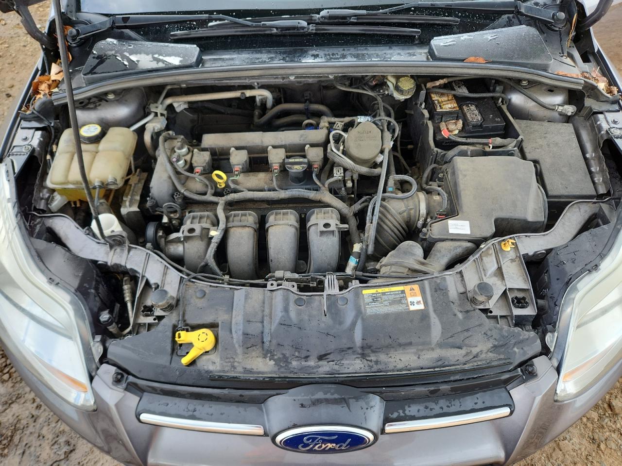 2014 Ford Focus Se VIN: 1FADP3K25EL121454 Lot: 80882945