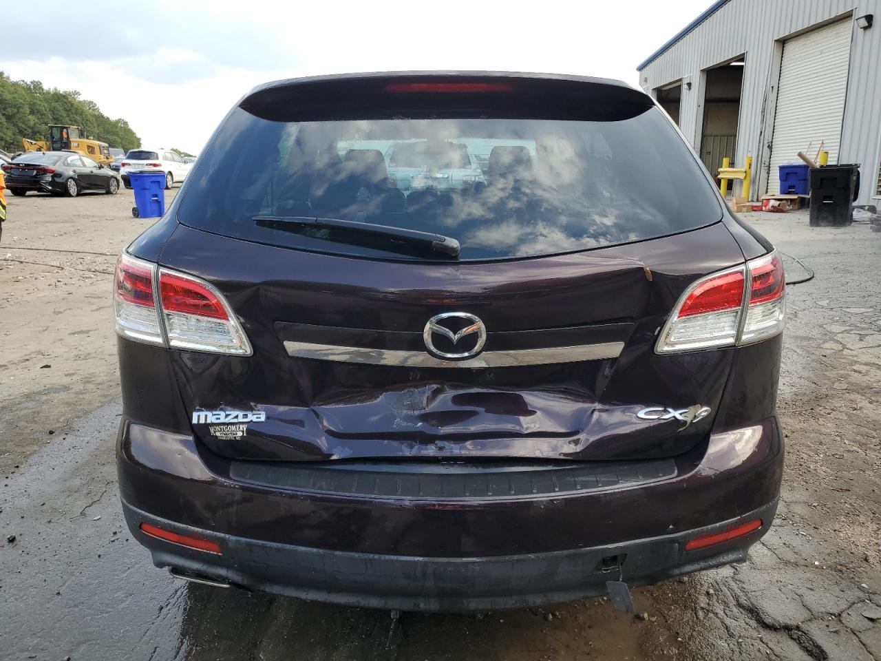2007 Mazda Cx-9 VIN: JM3TB28Y170115401 Lot: 80990795
