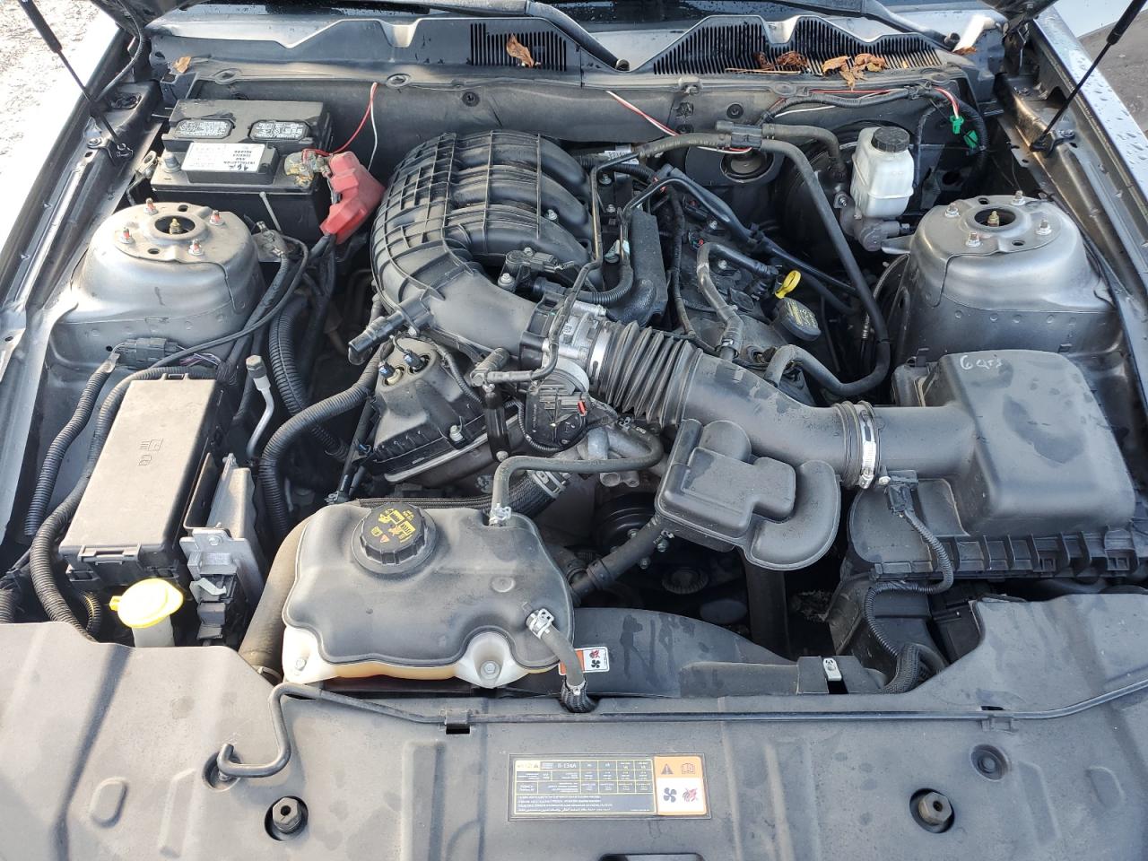 2013 Ford Mustang VIN: 1ZVBP8AM0D5273613 Lot: 71503525