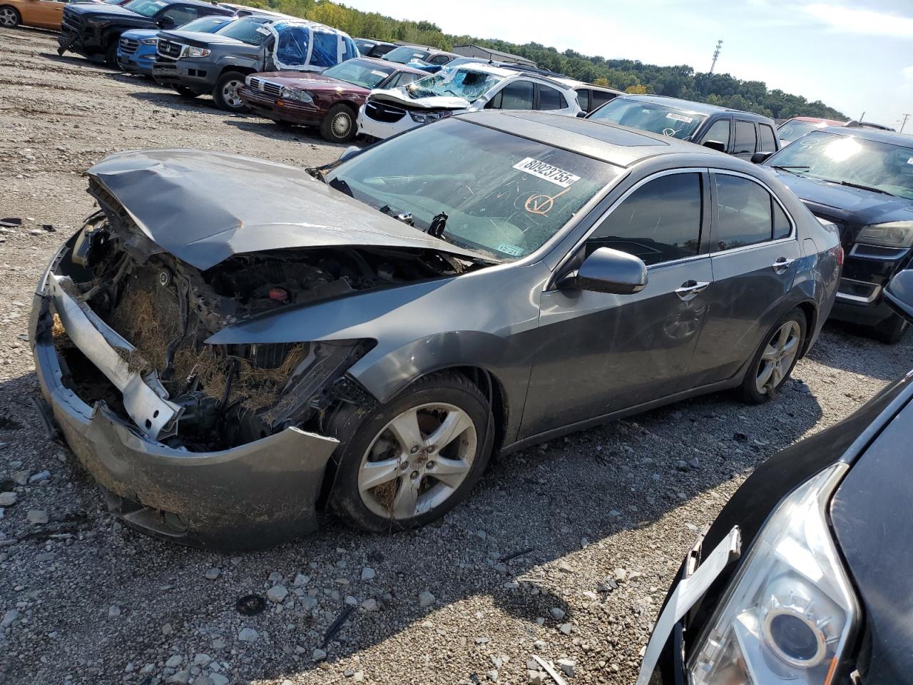 2009 Acura Tsx JH4CU26609C022521 photo #1