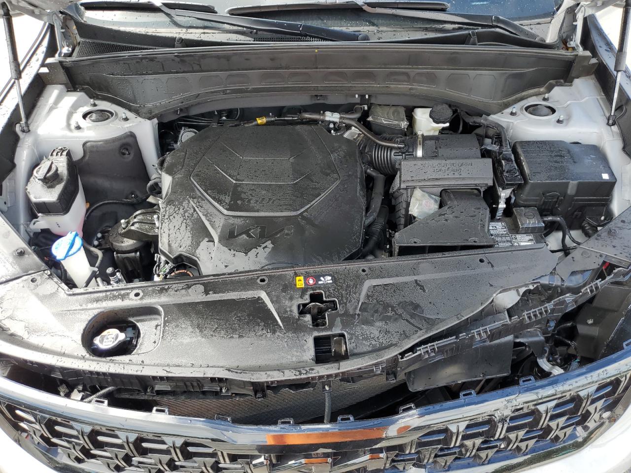 2025 Kia Telluride Sx VIN: 5XYP5DGC6SG596297 Lot: 71426265