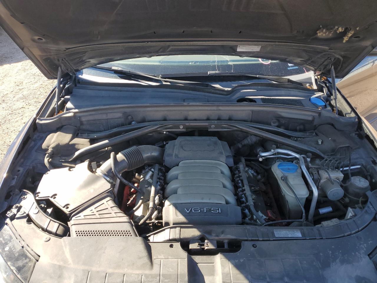 2010 Audi Q5 Premium Plus VIN: WA1LKAFP0AA036763 Lot: 81721915