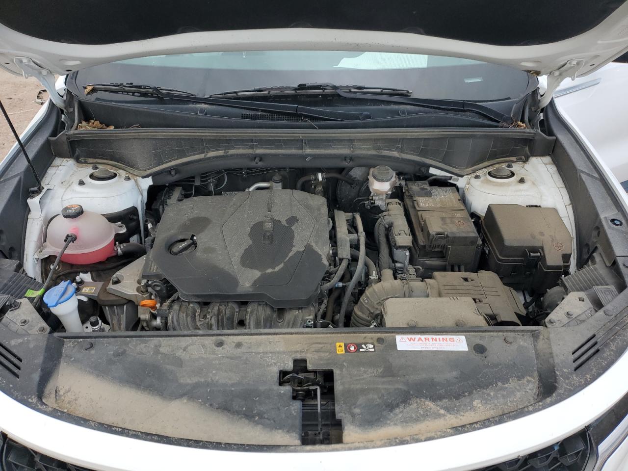 2023 Kia Sorento Lx VIN: 5XYRGDLC0PG165406 Lot: 71907905