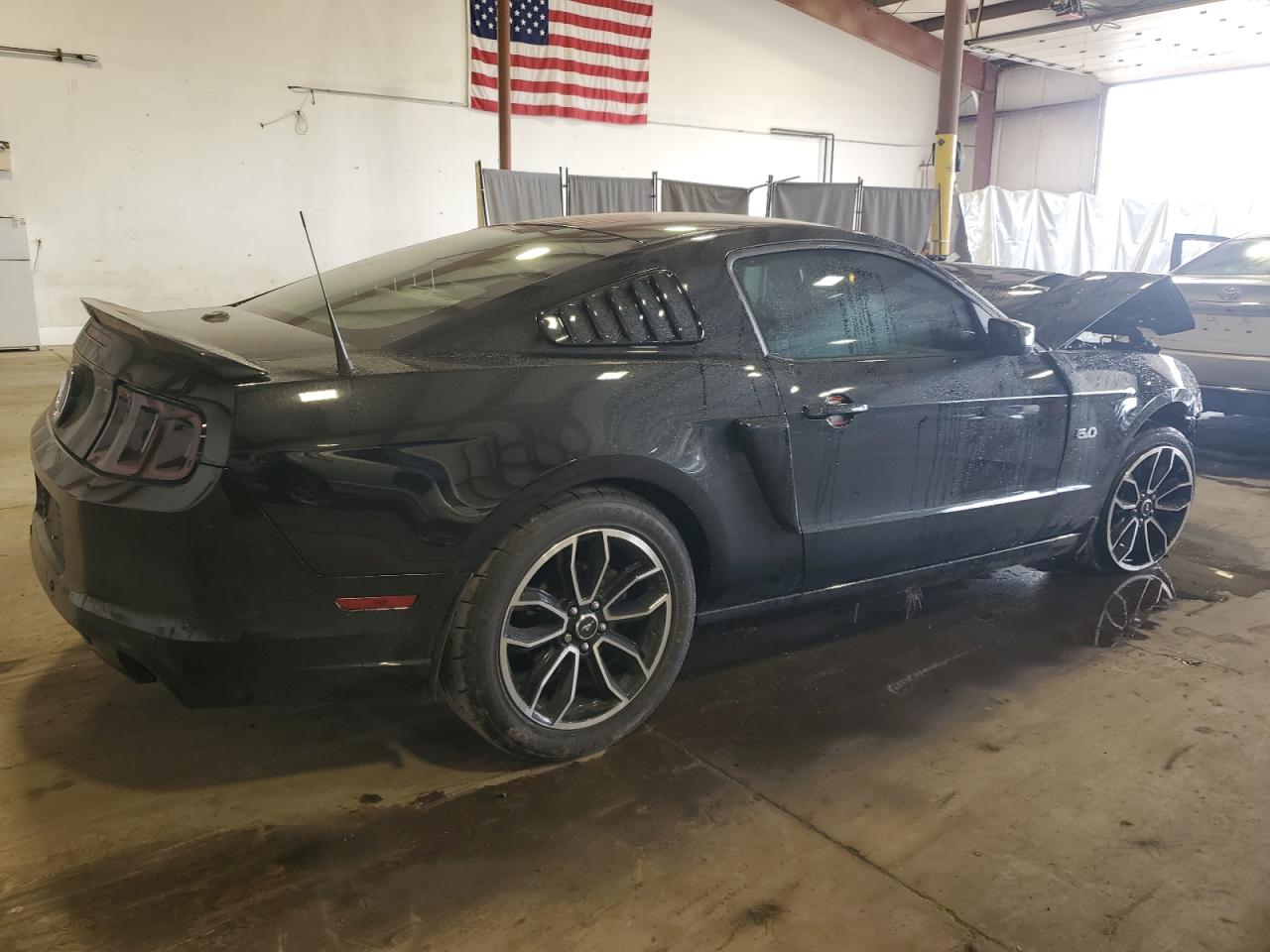 2013 Ford Mustang Gt VIN: 1ZVBP8CFXD5248667 Lot: 84782255