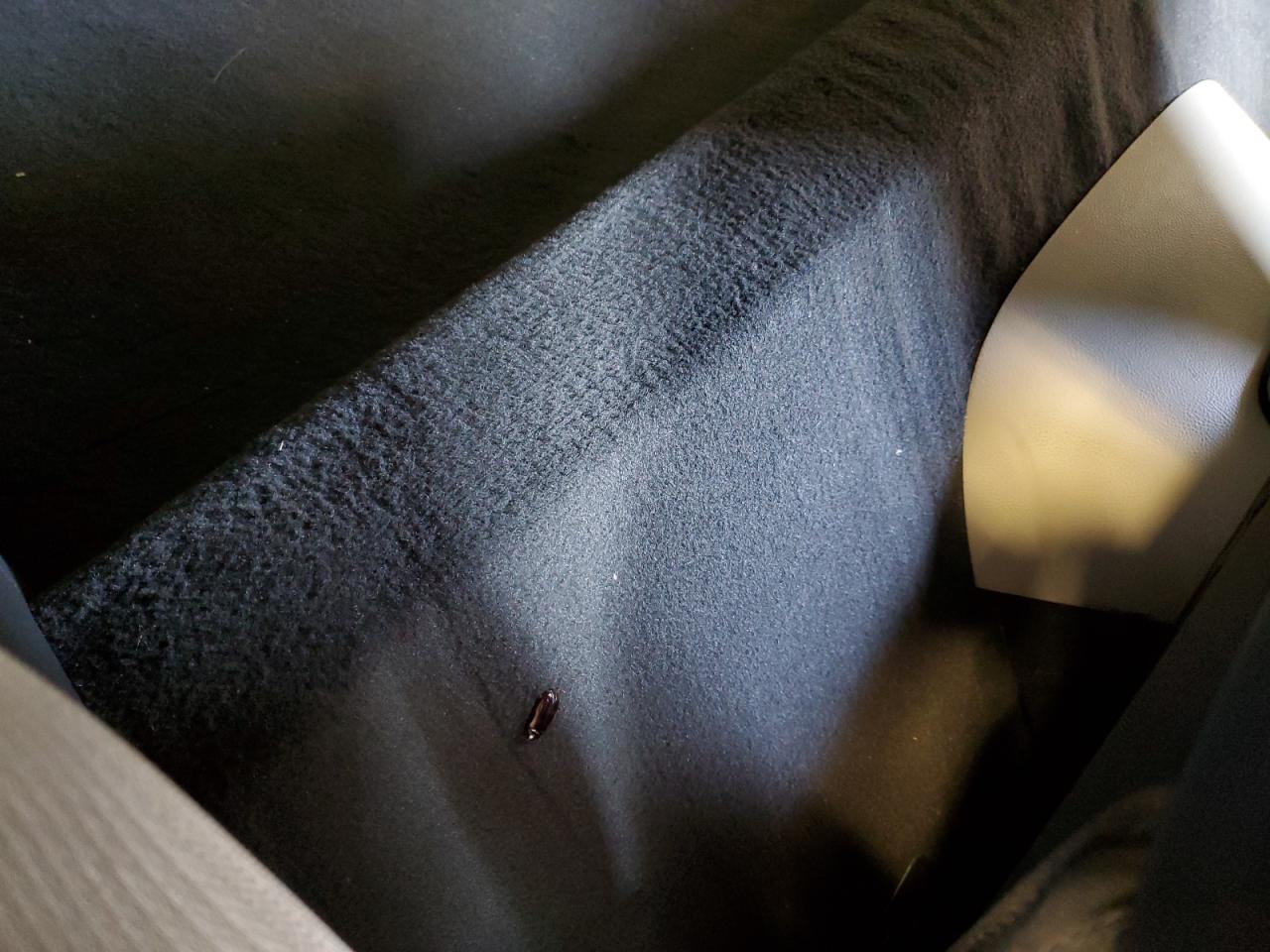 2008 Chevrolet Corvette VIN: 1G1YY26W885107341 Lot: 80132075