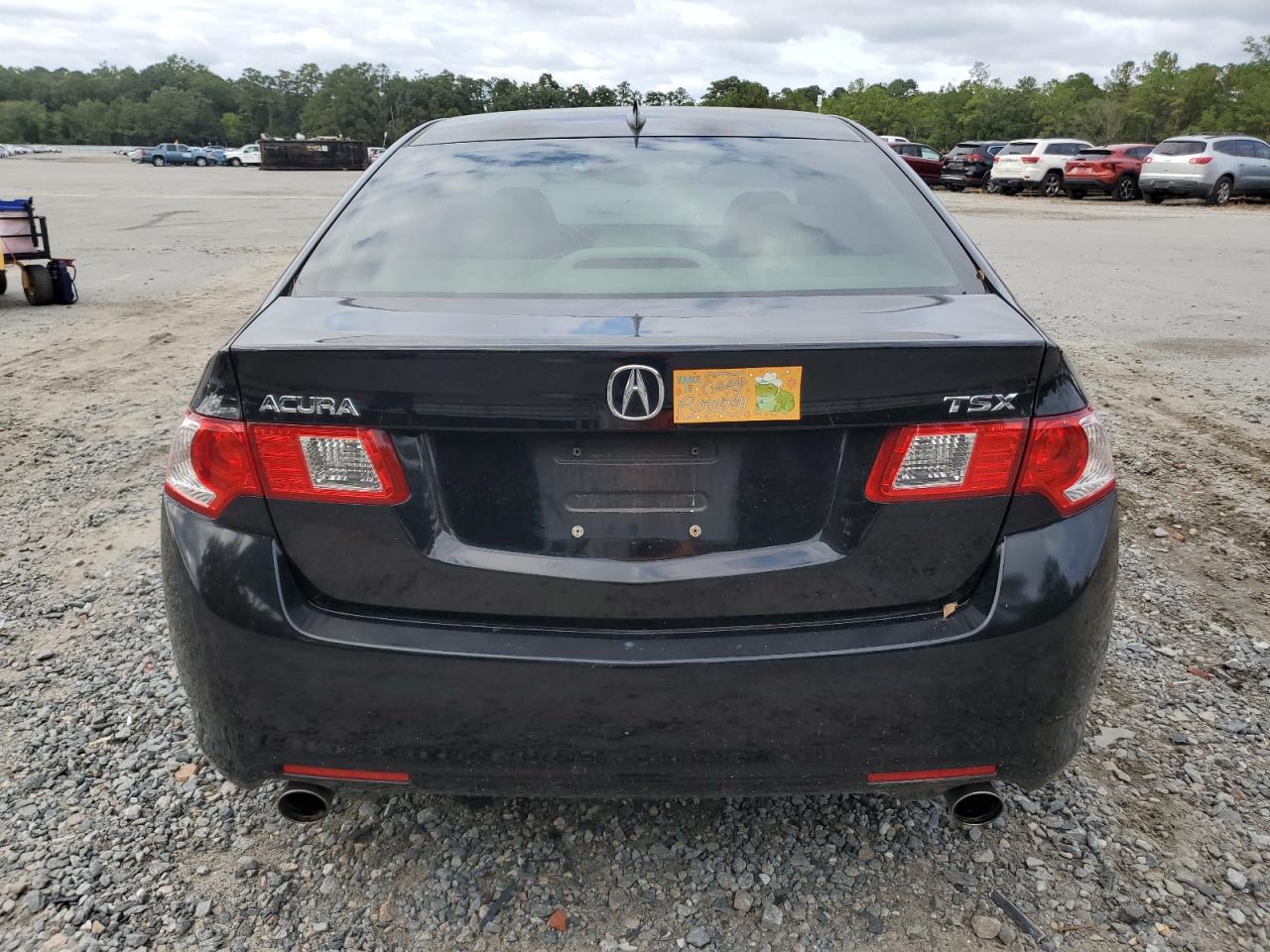 2010 Acura Tsx VIN: JH4CU2F6XAC031909 Lot: 81889155